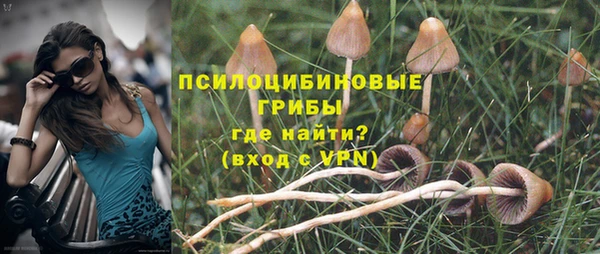прущие крисы Киренск