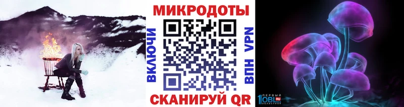 Купить закладки  Новоаннинский  Псилоцибиновые грибы MAGIC MUSHROOMS 